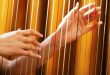 Selain Gitar, Inilah Alat Musik Petik yang Terkenal di Dunia