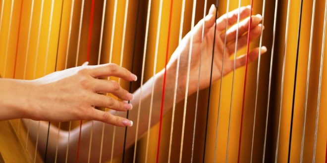 Selain Gitar, Inilah Alat Musik Petik yang Terkenal di Dunia