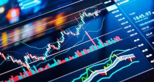 Strategi Trading Forex untuk Pemula Biar Nggak Salah Langkah