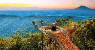Tempat Wisata Instagramable di Indonesia Spot Foto Kekinian dan Aesthetic yang Wajib Dikunjungi