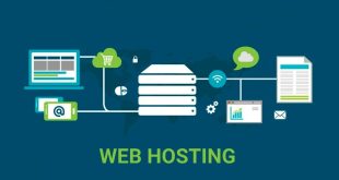 Fakta Menarik tentang Web Hosting yang Mungkin Belum Kamu Tahu